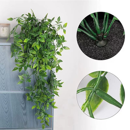 Eucalyptus Plant Decoration for Indoor & Outdoor
