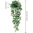 Eucalyptus Plant Decoration for Indoor & Outdoor