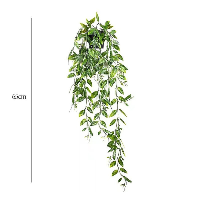 Eucalyptus Plant Decoration for Indoor & Outdoor